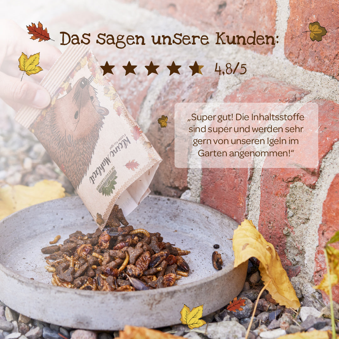 Kleine Mahlzeit – Igelfutter