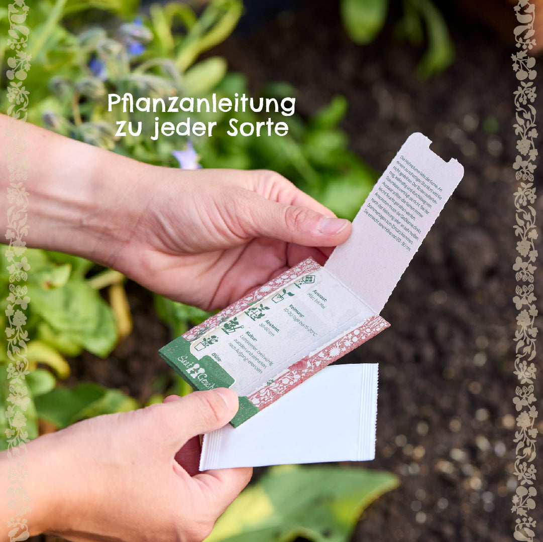 BIO-Saatgut Sonnenblume
