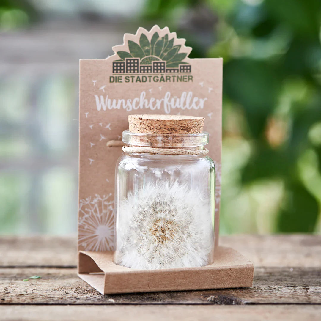 Großer Wunscherfüller – Pusteblume im Glas