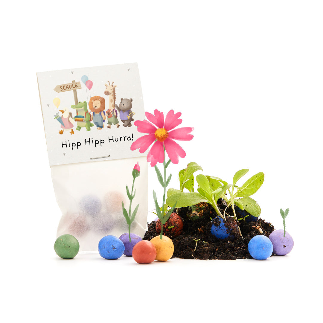 5 Blumenmurmeln im Tütchen zur Einschulung "Hipp Hipp Hurra!"