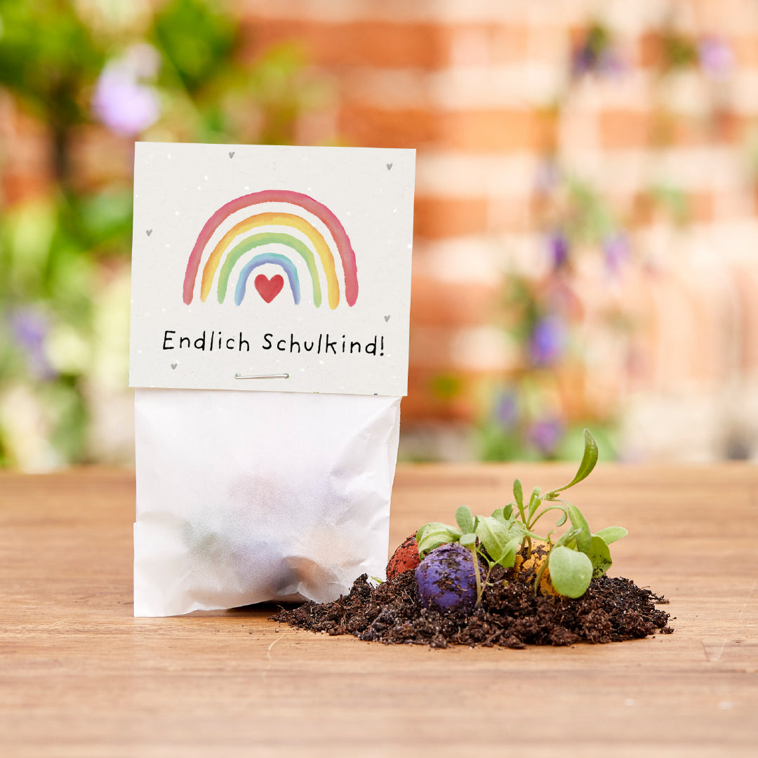 5 Blumenmurmeln im Tütchen zur Einschulung "Endlich Schulkind"