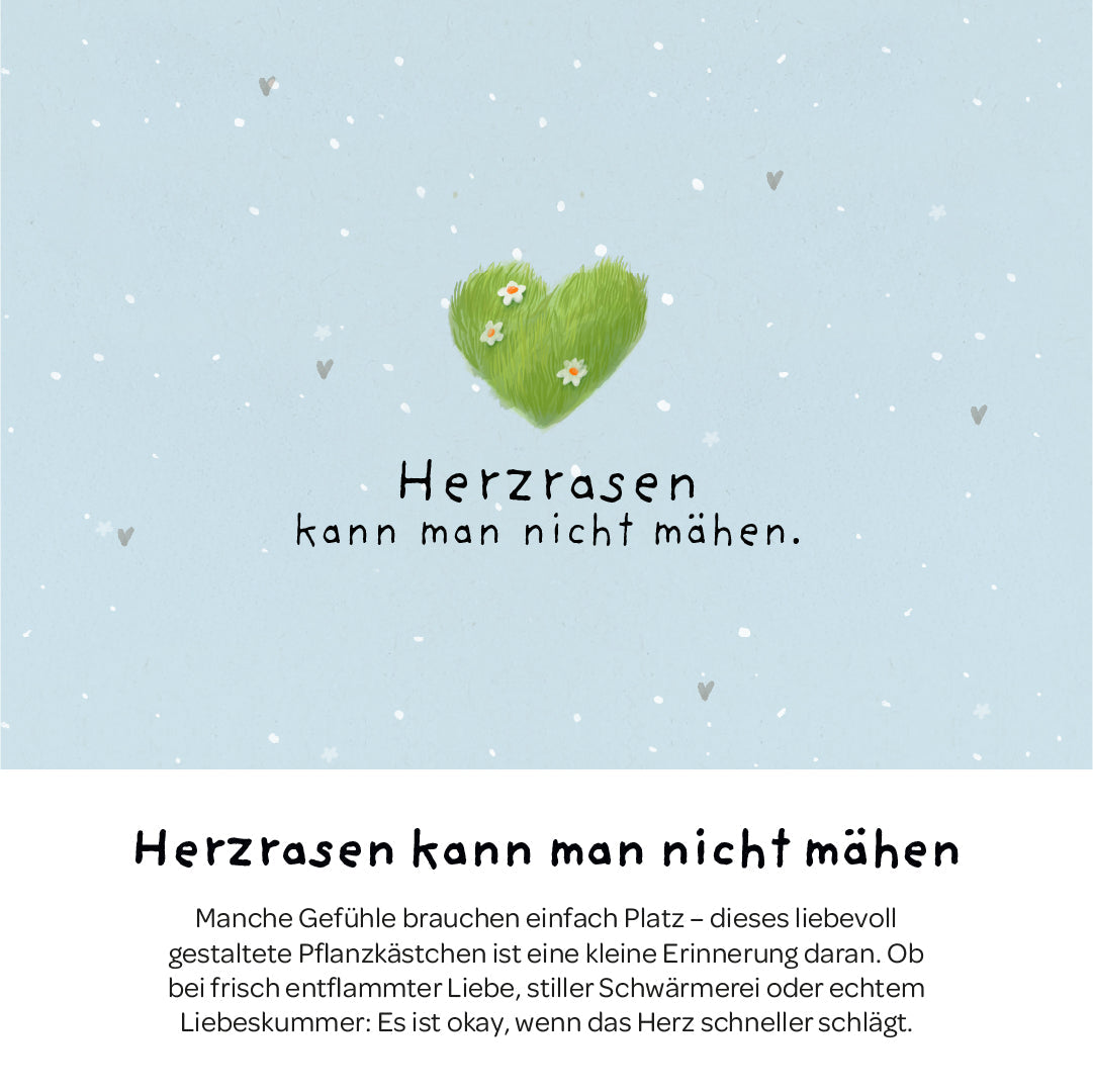 Pflanzkästchen - Herzrasen
