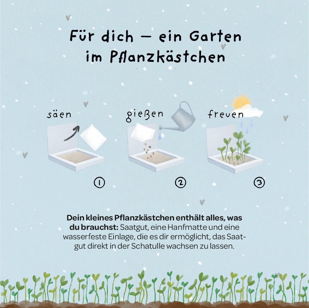 Pflanzkästchen - Herzrasen