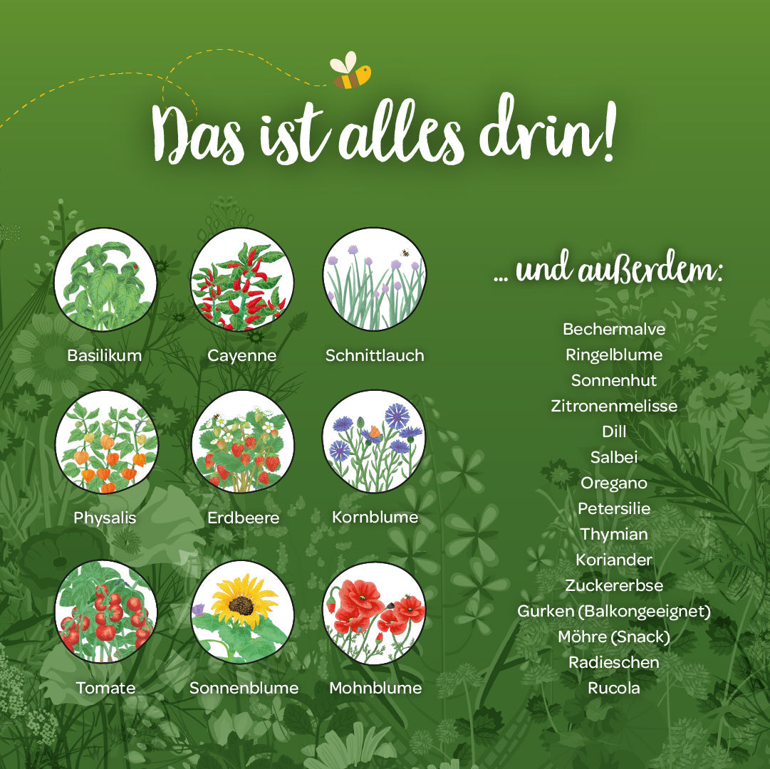 Saatgut-Adventskalender "Winterlandschaft"