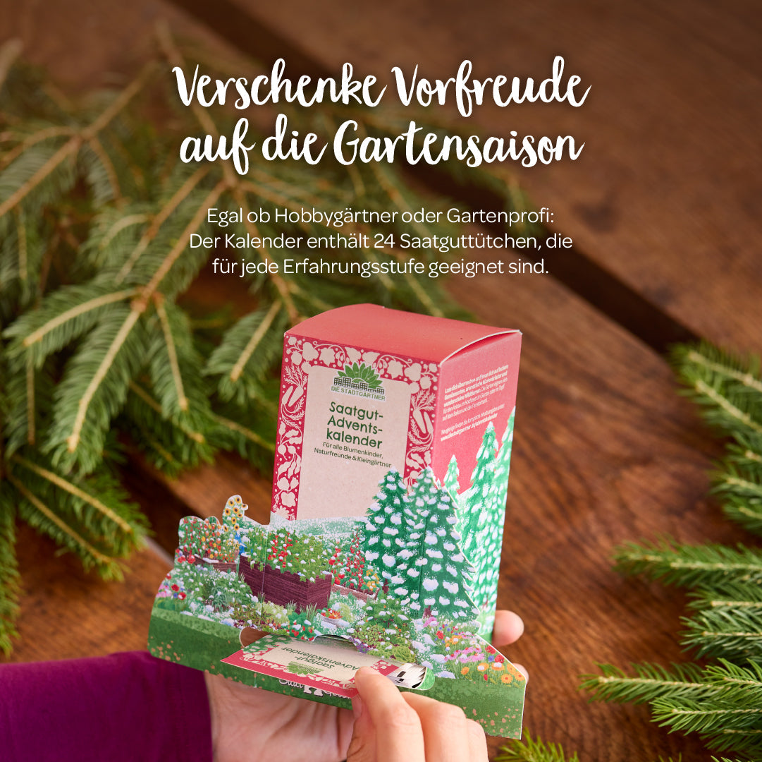 Saatgut-Adventskalender "Winterlandschaft"