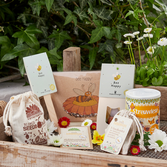 Geschenk-Set "Bienenretter"