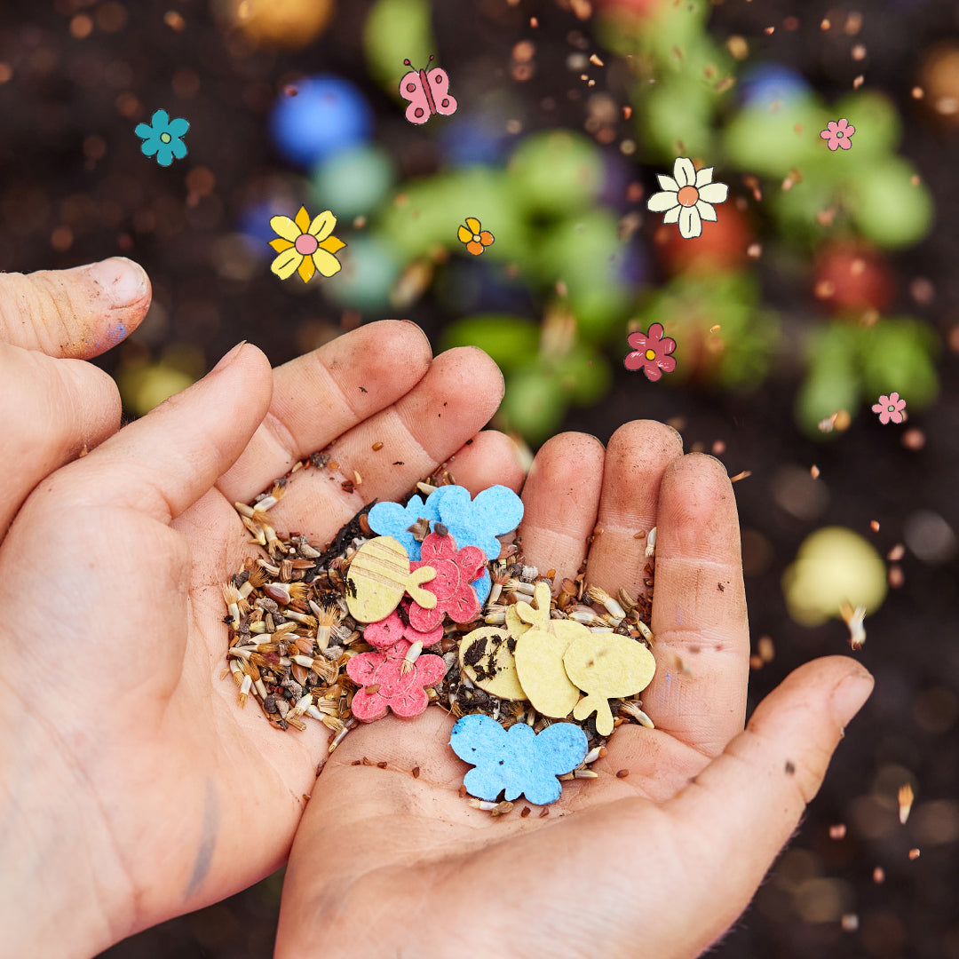Buntes Saatgutkonfetti