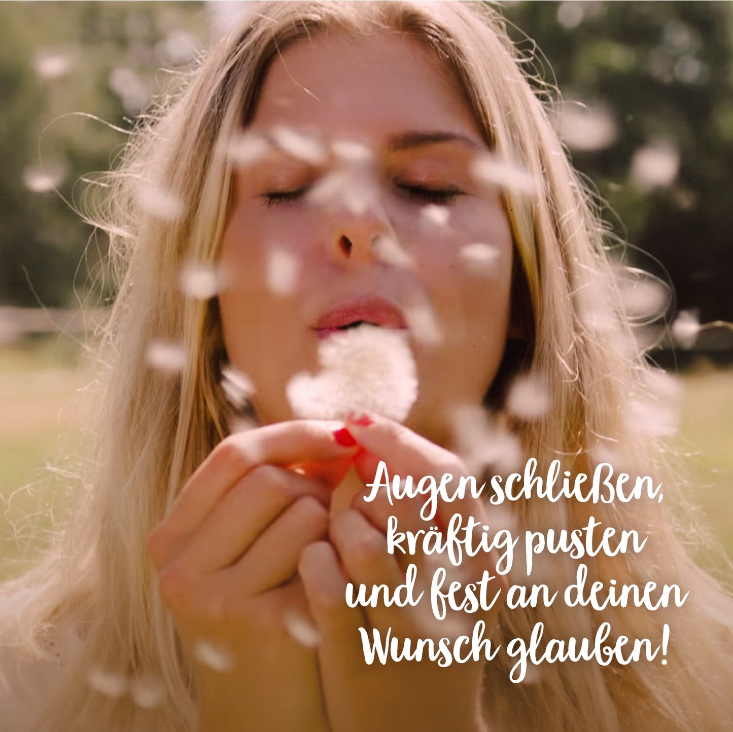 Großer Wunscherfüller – Pusteblume im Glas
