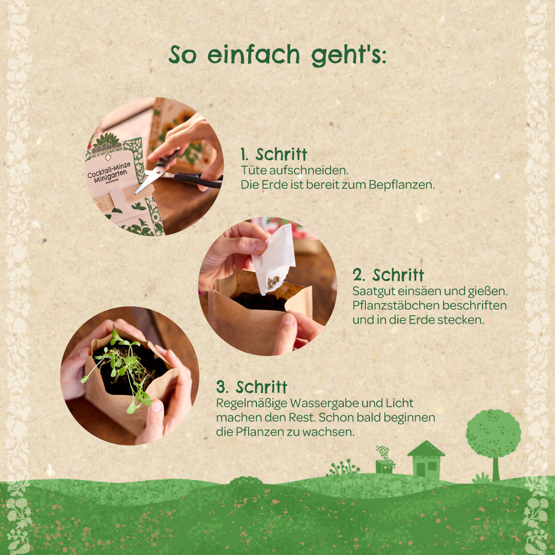 Anzuchtset – Minigarten Stockrose