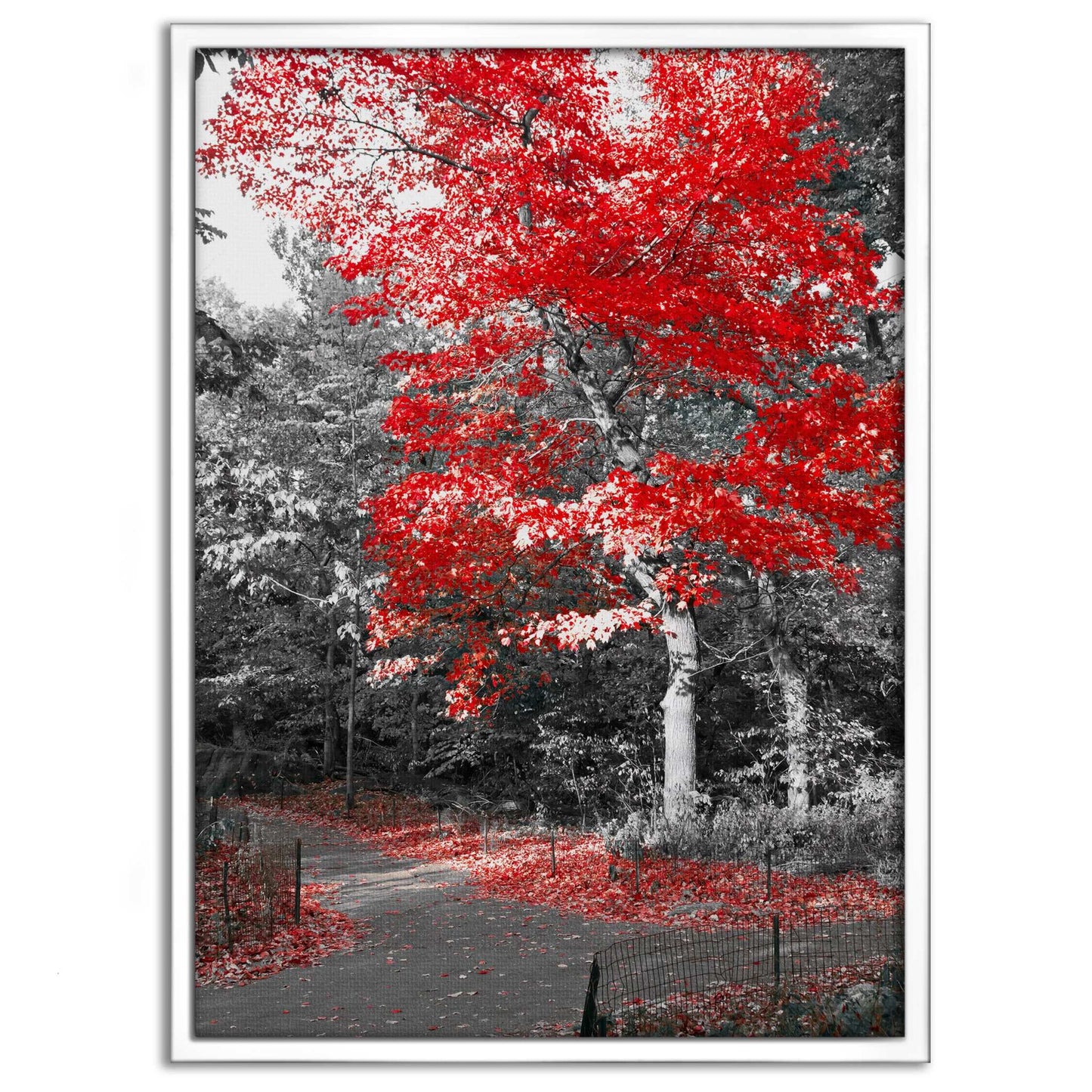 Red Autumn - Leinwandbild Landschaft