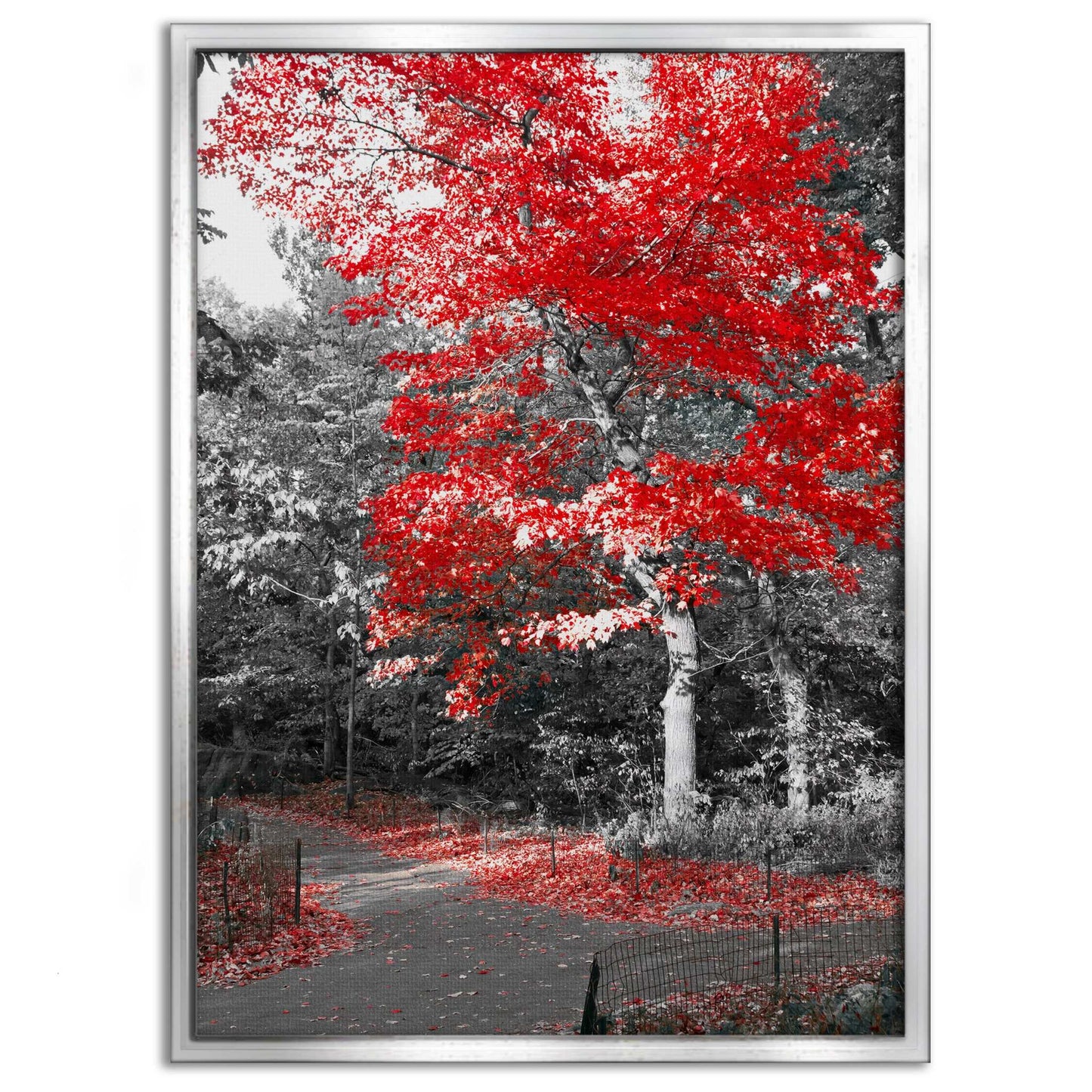 Red Autumn - Leinwandbild Landschaft