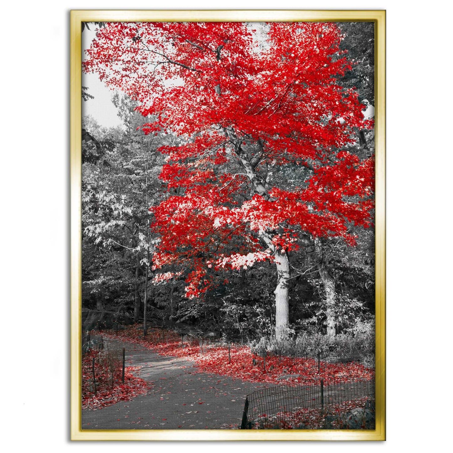 Red Autumn - Leinwandbild Landschaft