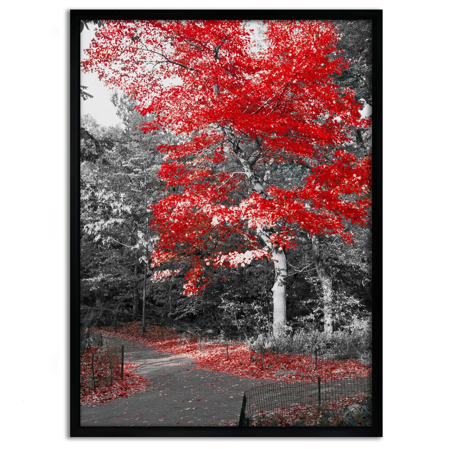 Red Autumn - Leinwandbild Landschaft