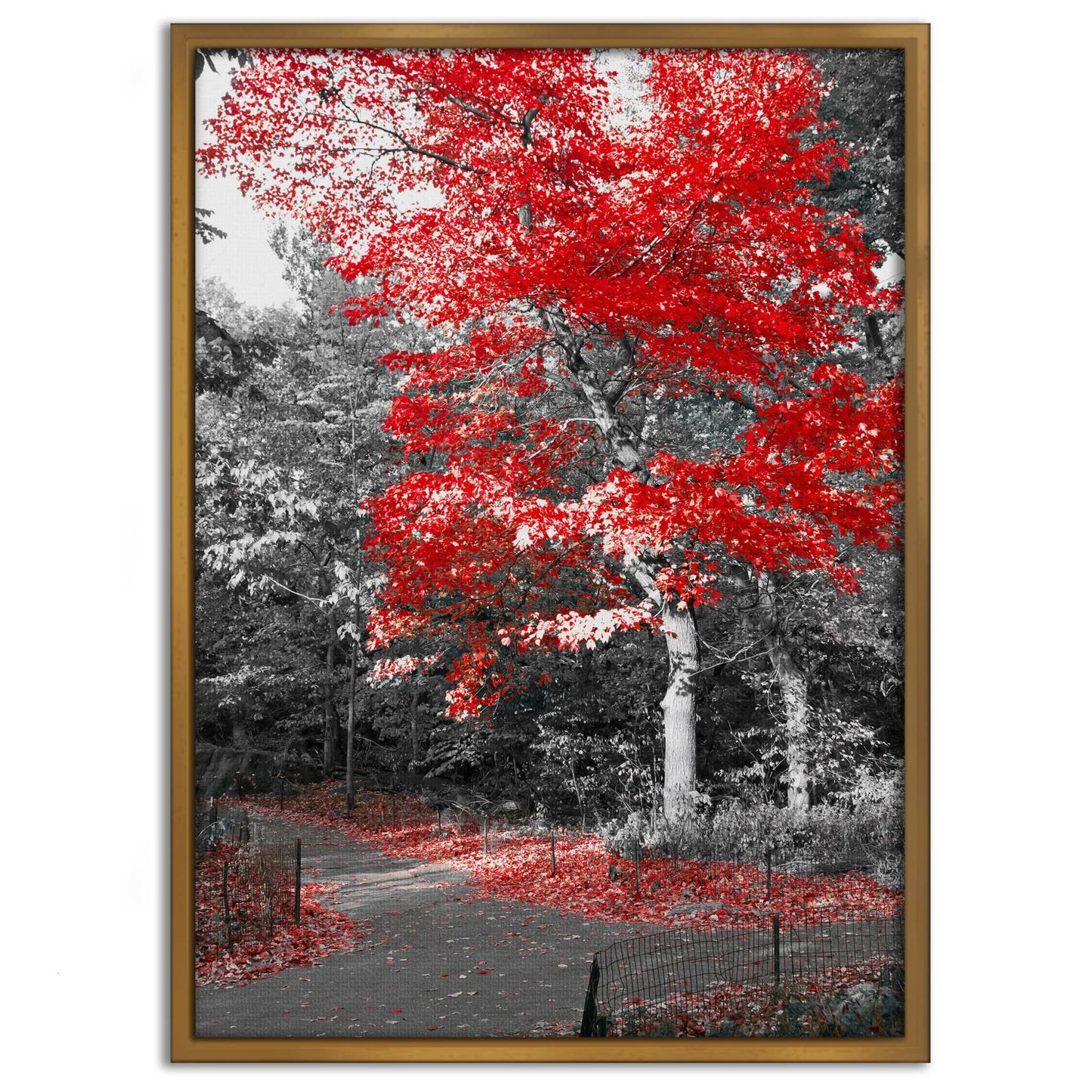 Red Autumn - Leinwandbild Landschaft