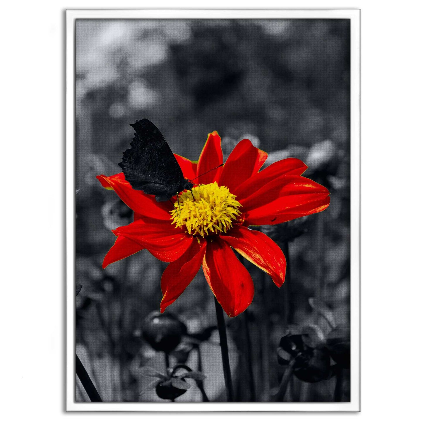 Red Flower - Leinwandbild Landschaft