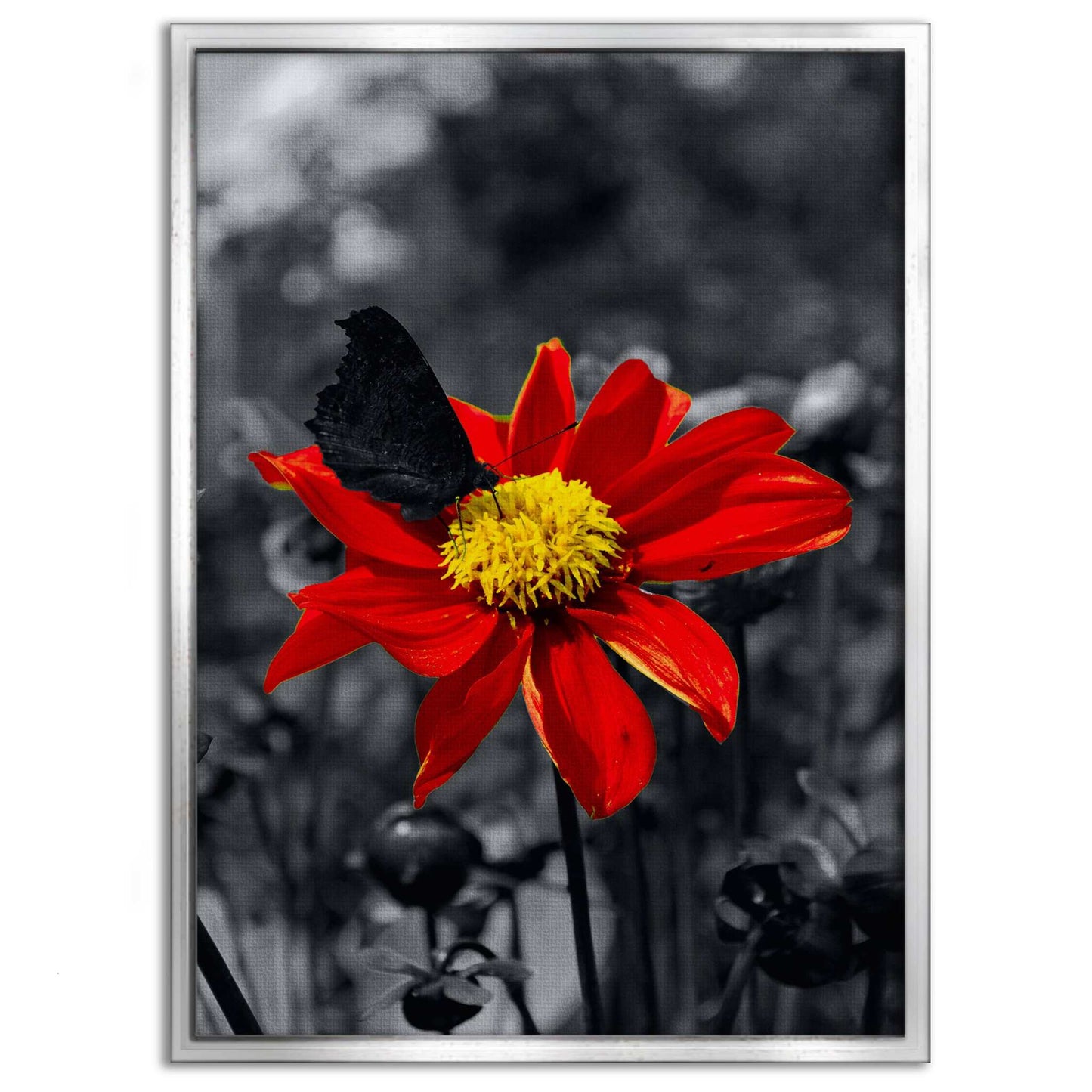 Red Flower - Leinwandbild Landschaft