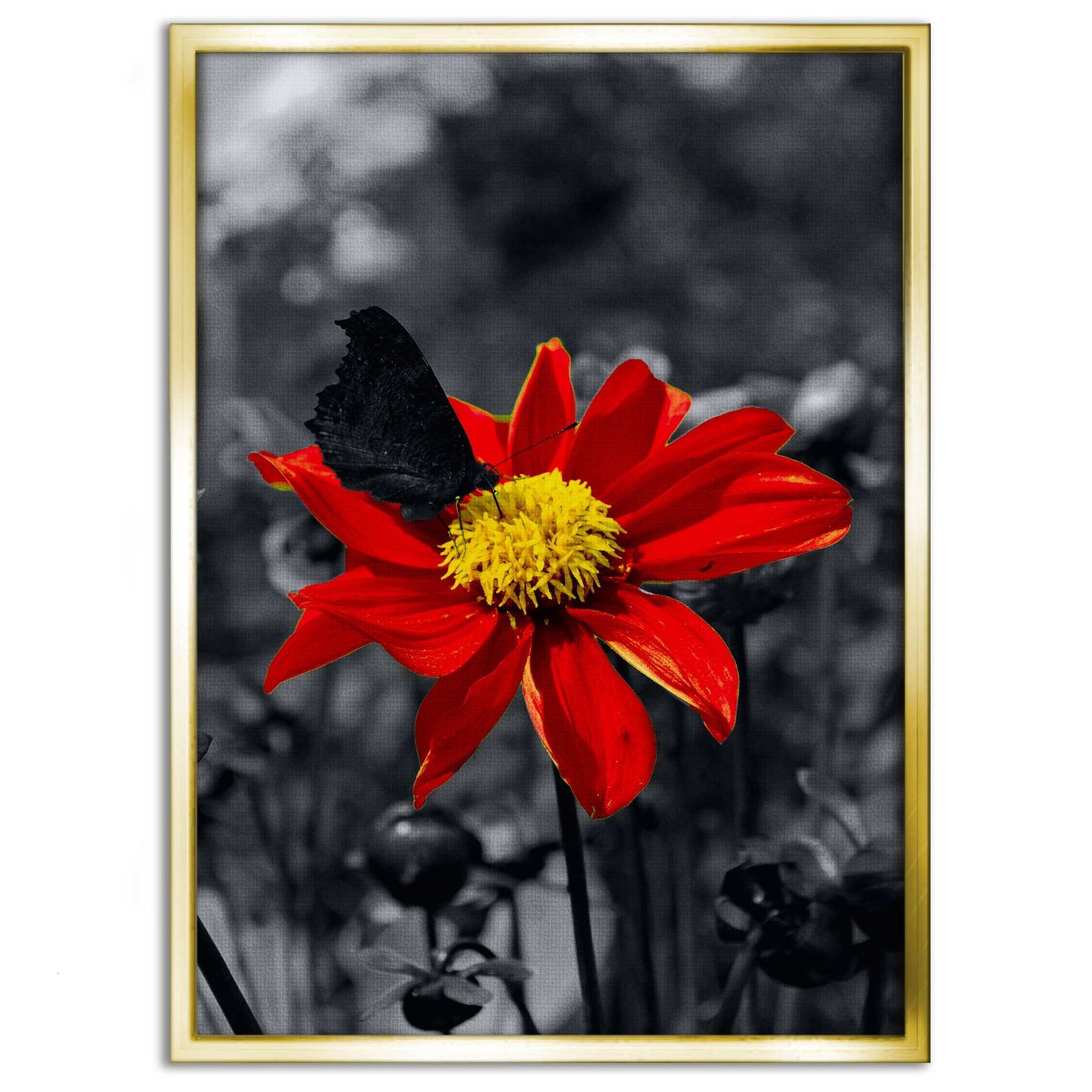 Red Flower - Leinwandbild Landschaft