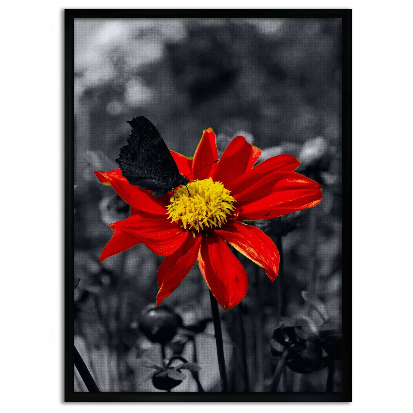 Red Flower - Leinwandbild Landschaft