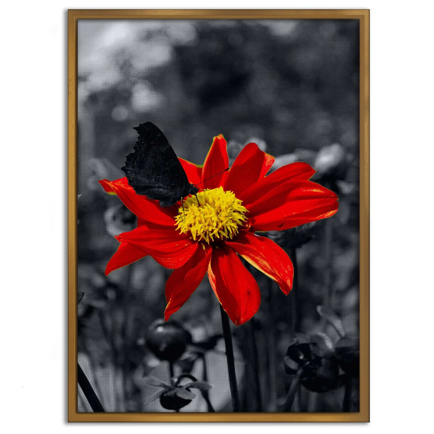Red Flower - Leinwandbild Landschaft