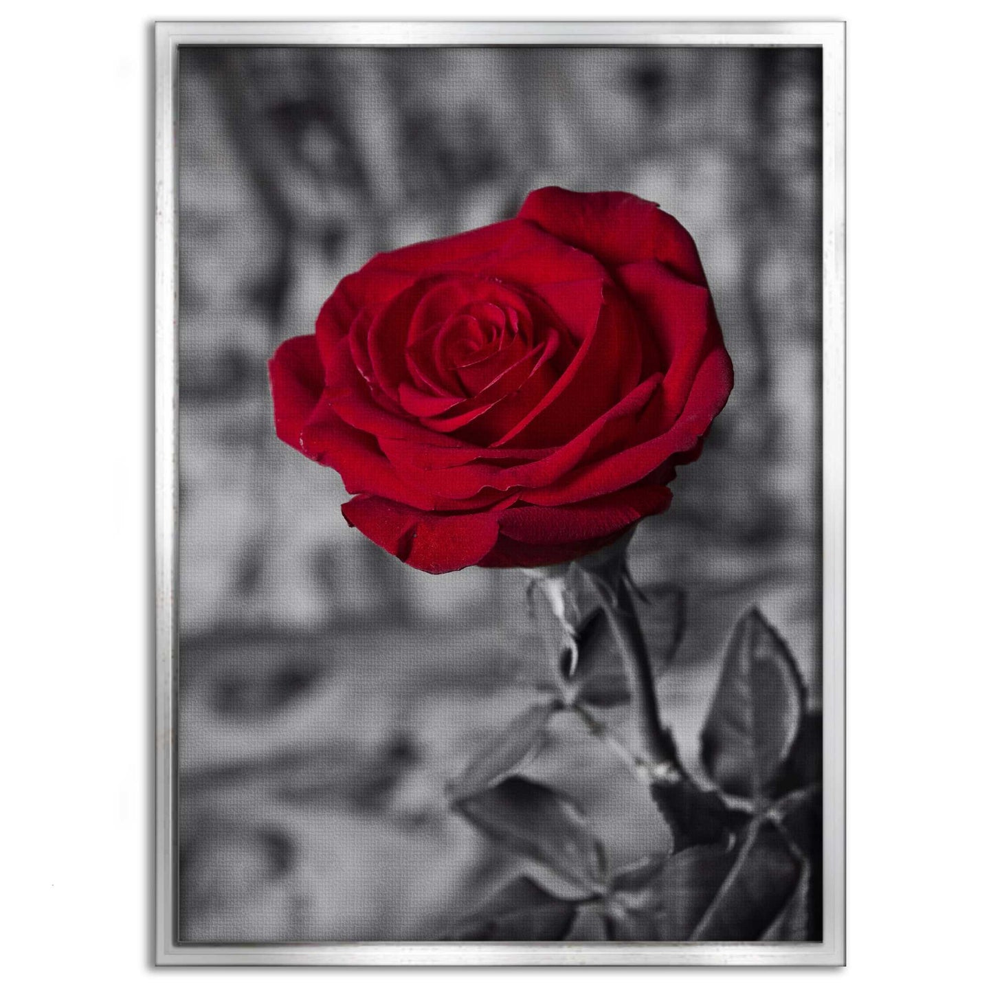 Red Rose - Leinwandbild Landschaft