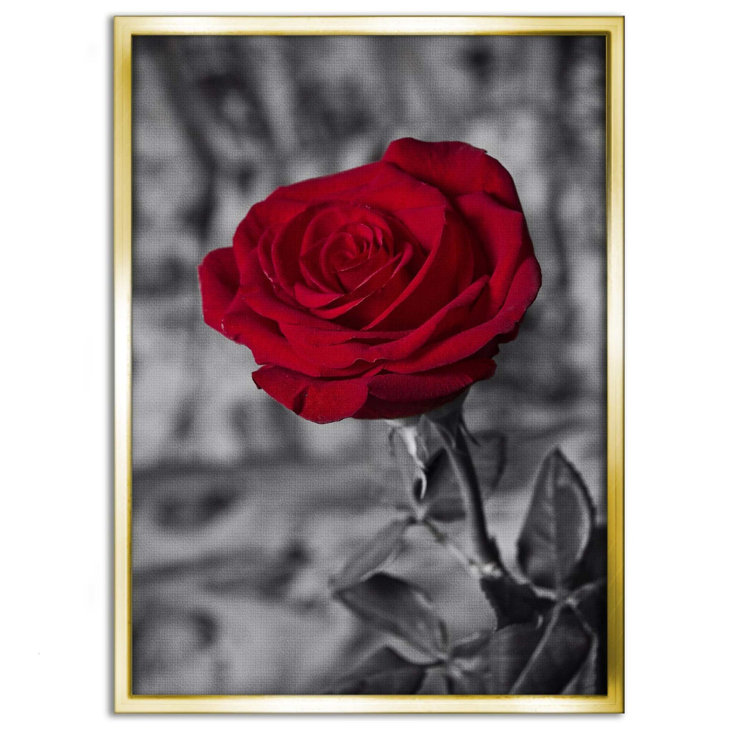 Red Rose - Leinwandbild Landschaft