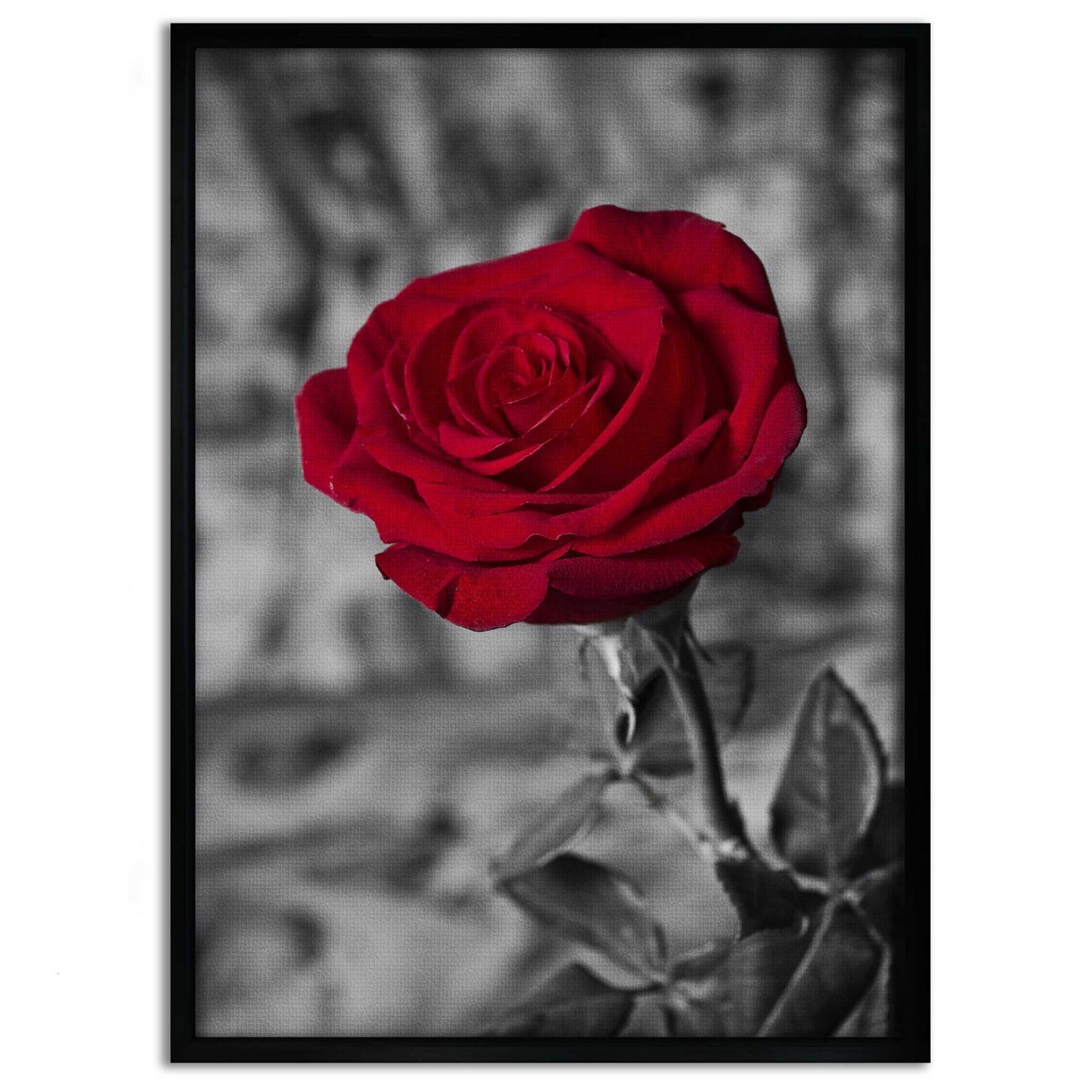 Red Rose - Leinwandbild Landschaft