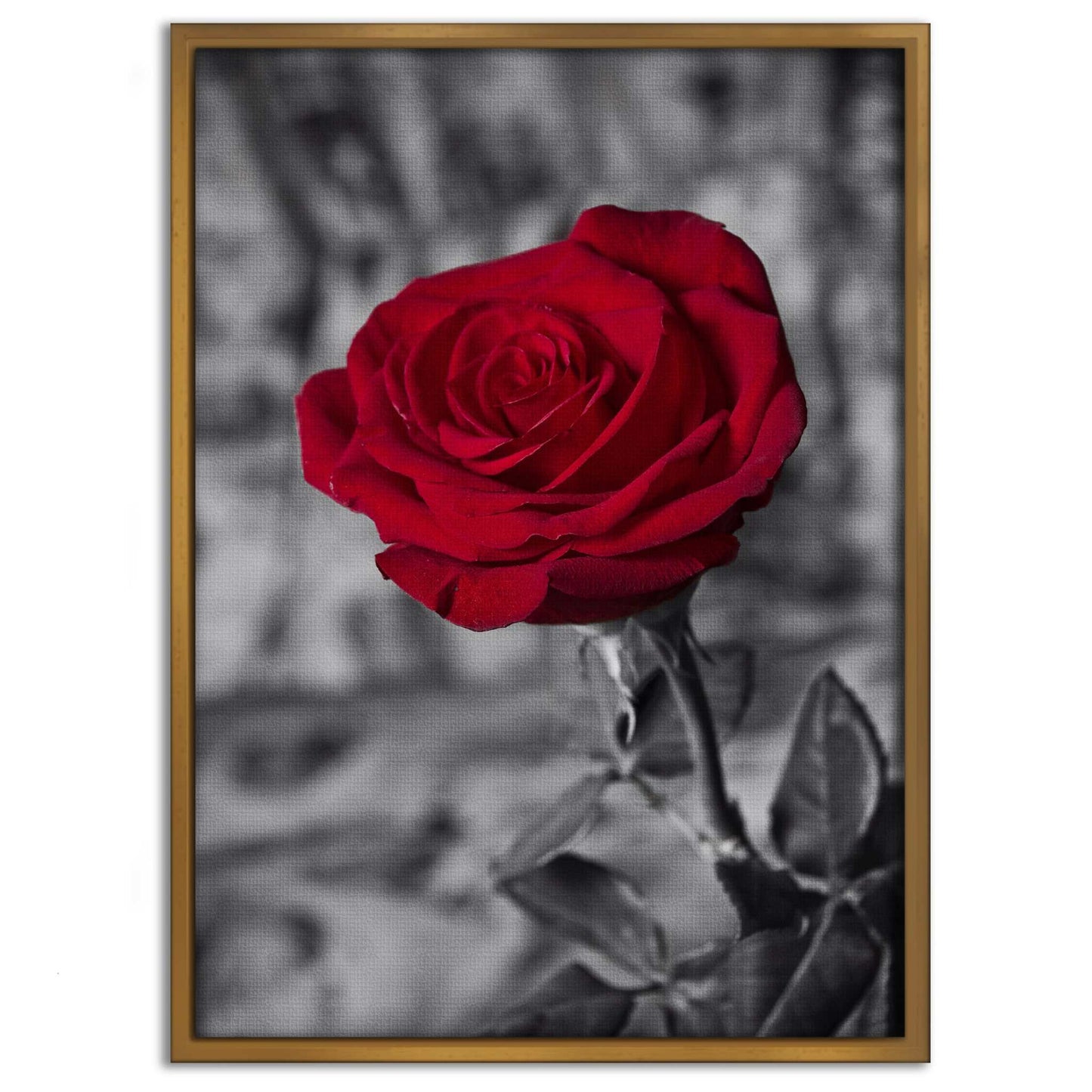 Red Rose - Leinwandbild Landschaft
