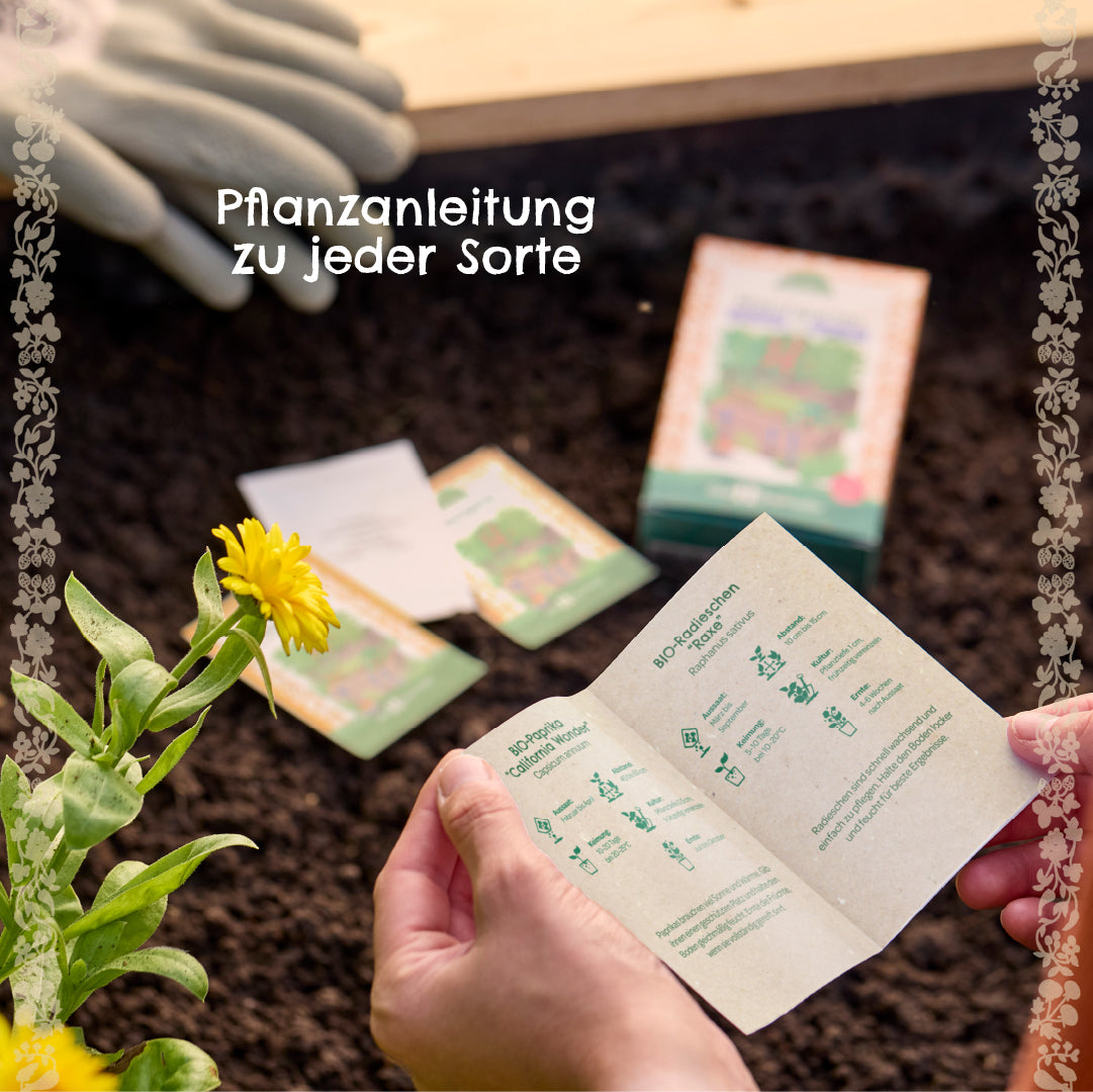 BIO-Saatgut-Set "Küchenkräuter"